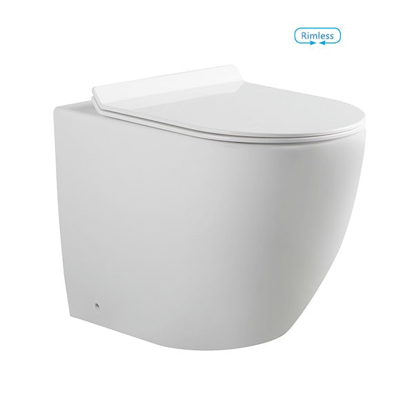 Rimless Matte White Wall Faced Toilet Pan