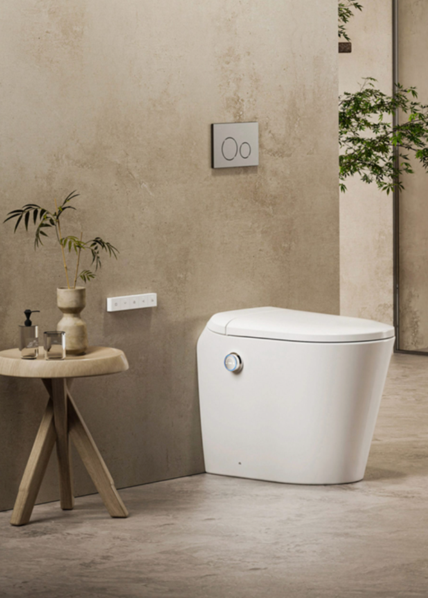 Lafeme Toilet