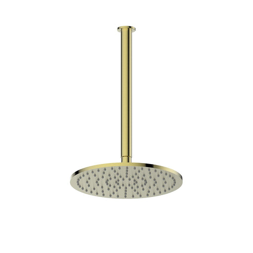 Textura / Gisele Ceiling Shower Brushed Brass