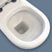 RAK Compact Back-to-Wall Toilet Suite, Grey - Designer Bathware