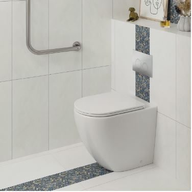 Accessible Toilets