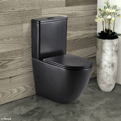 Matte Black Toilets