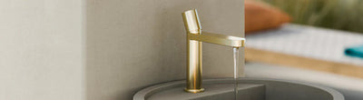 Colour Brass