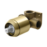 Phoenix Builders Shower / Wall Mixer (Body Only) Brushed Gold – Lead Free