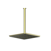 Skyla Ceiling Shower - PVD Brushed Brass
