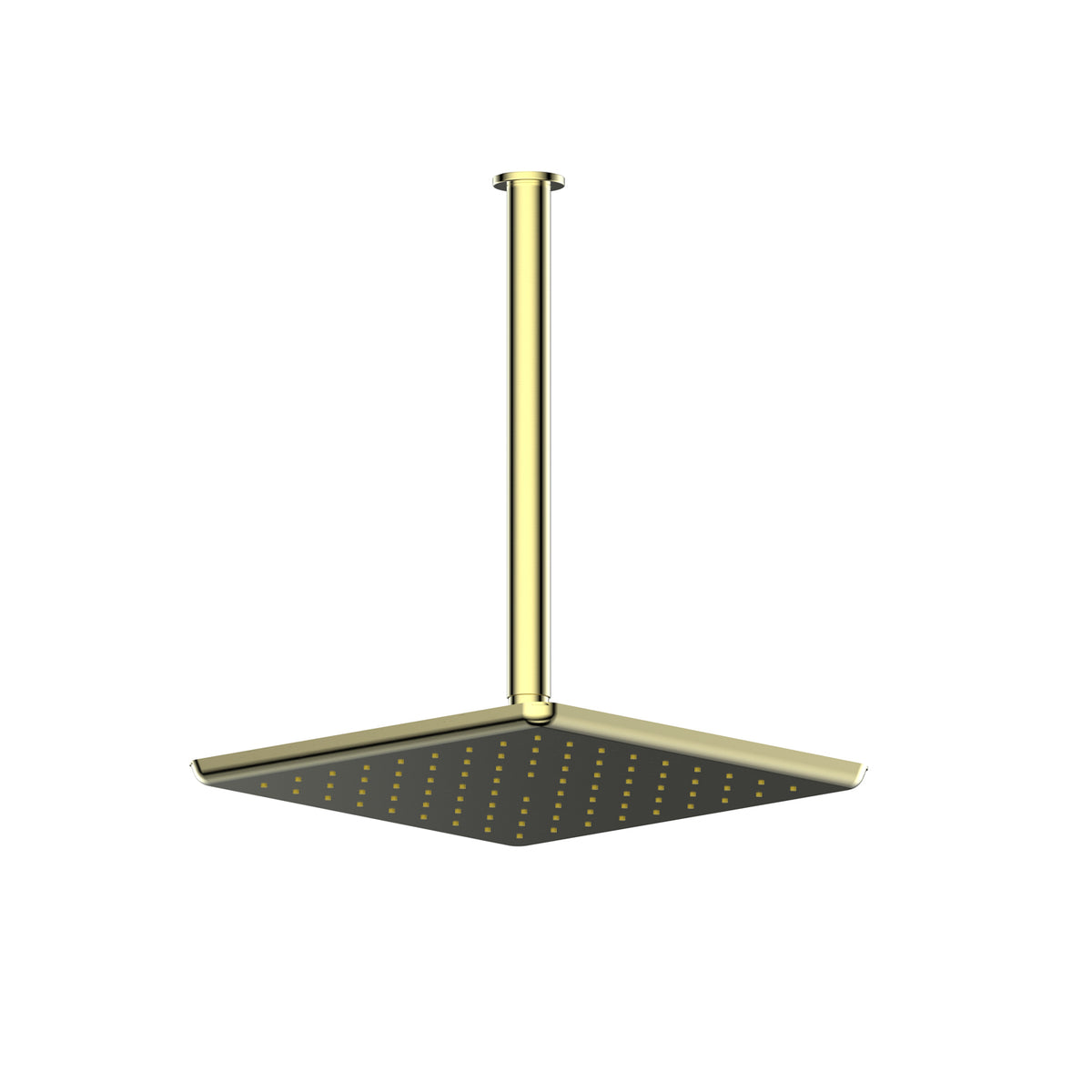 Skyla Ceiling Shower - PVD Brushed Brass