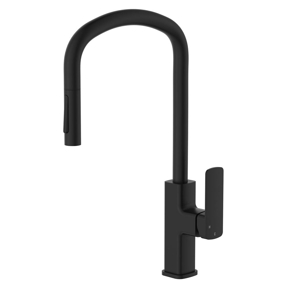 Fienza Pull Out Sink Mixer Matte Black