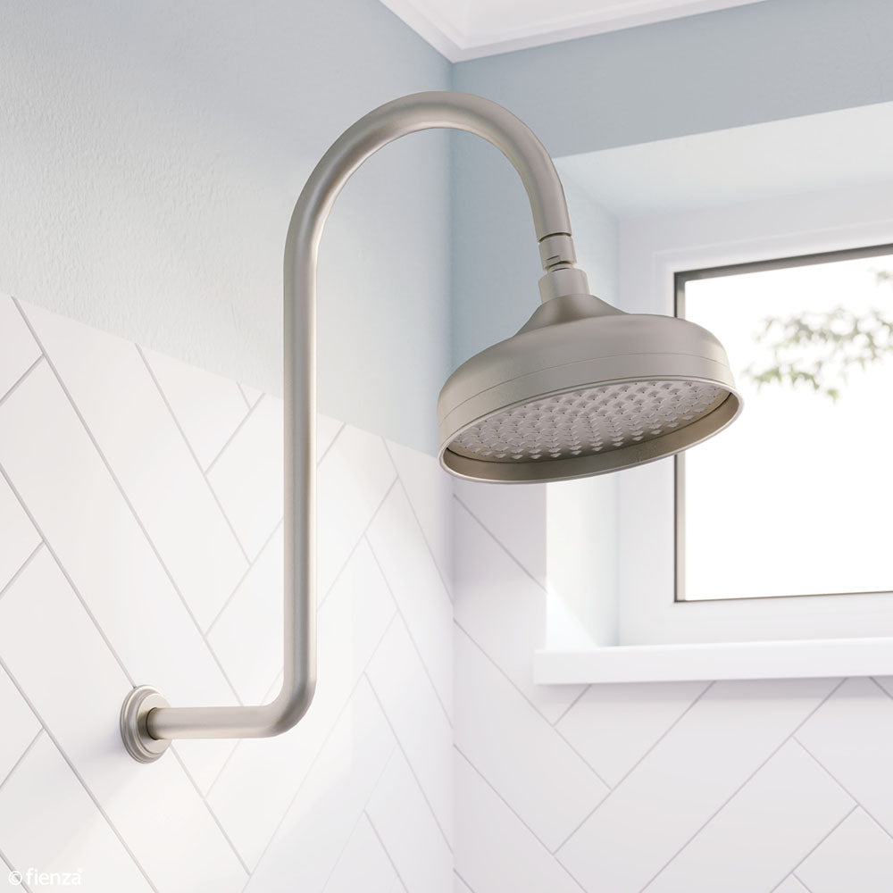Fienza Lillian Wall Arm Shower Set Brushed Nickel