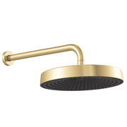 Fienza Kuro Shower Arm Set Round Head Urban Brass