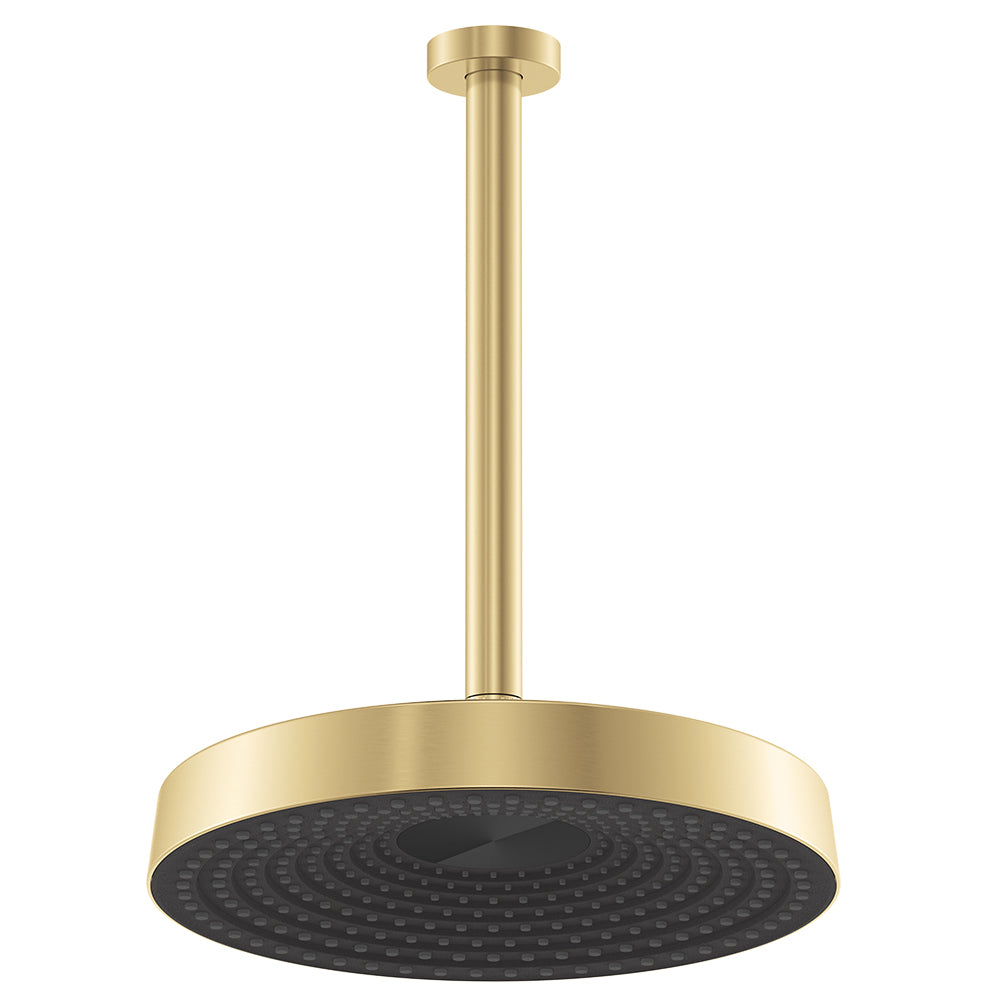 Fienza Kuro Shower Dropper Set Round Head Urban Brass
