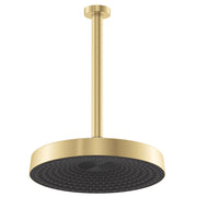 Fienza Kuro Shower Dropper Set Round Head Urban Brass