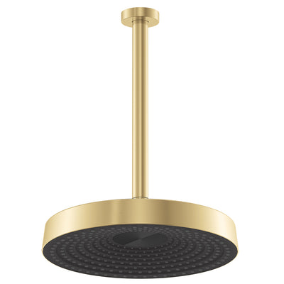 Fienza Kuro Shower Dropper Set Round Head Urban Brass