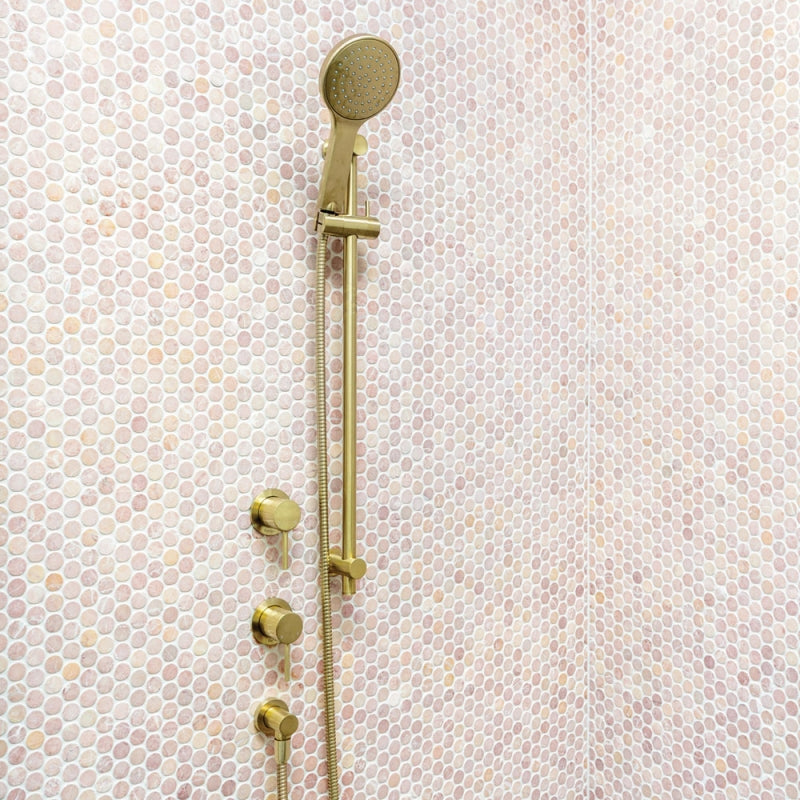Fienza Kaya Rail Shower, Urban Brass