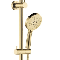 Fienza Empire Slim Curved Twin Shower Urban Brass