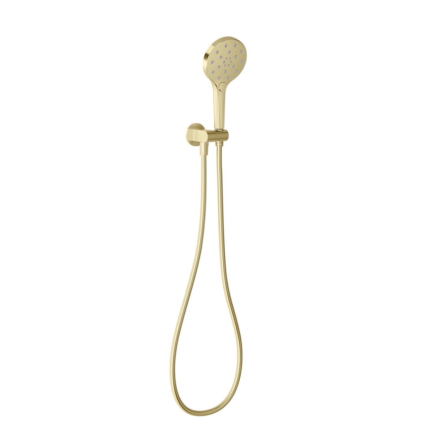Phoenix  Oxley Hand Shower Brushed Gold