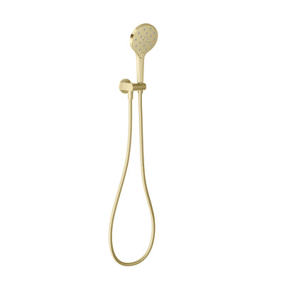 Phoenix  Oxley Hand Shower Brushed Gold