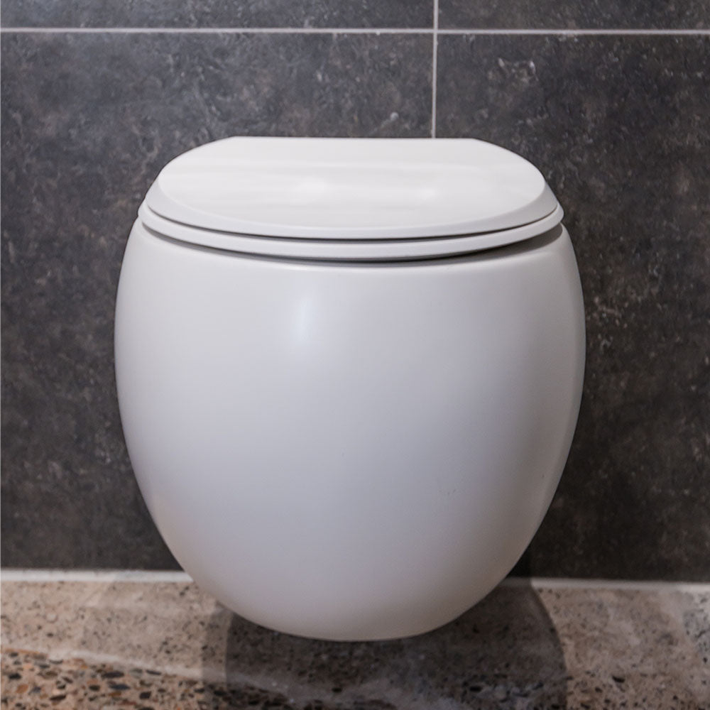 Fienza Rak Cloud Wall Hung Toilet Suite Matte White Pan Only