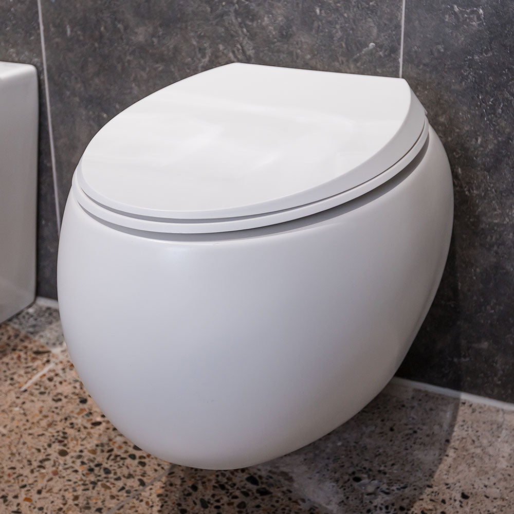 Fienza Rak Cloud Wall Hung Toilet Suite Matte White Pan Only