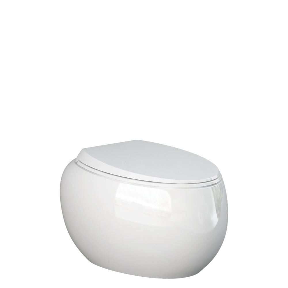 Fienza Rak Cloud Wall Hung Toilet Suite Alpine White Pan Only