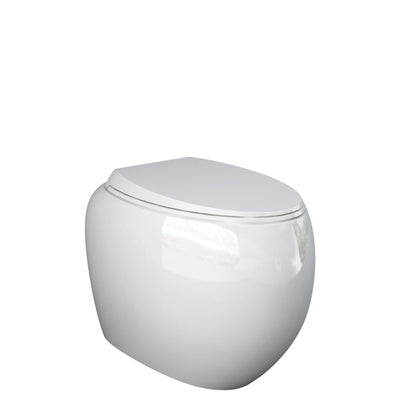 Fienza Rak Cloud Wall Faced Toilet Suite Alpine White Pan Only