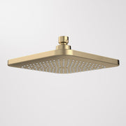 Caroma Luna Overhead Shower Head Only - Brushed Brass