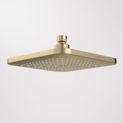 Caroma Luna Overhead Shower Head Only - Brushed Brass