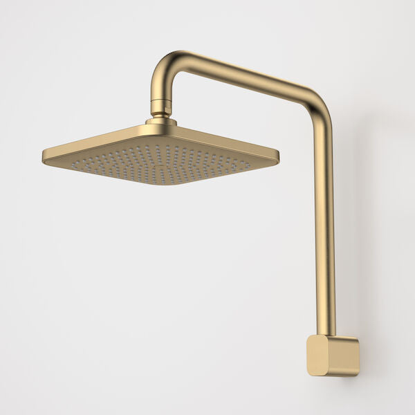 Caroma Luna Fixed Overhead Shower - Brushed Brass