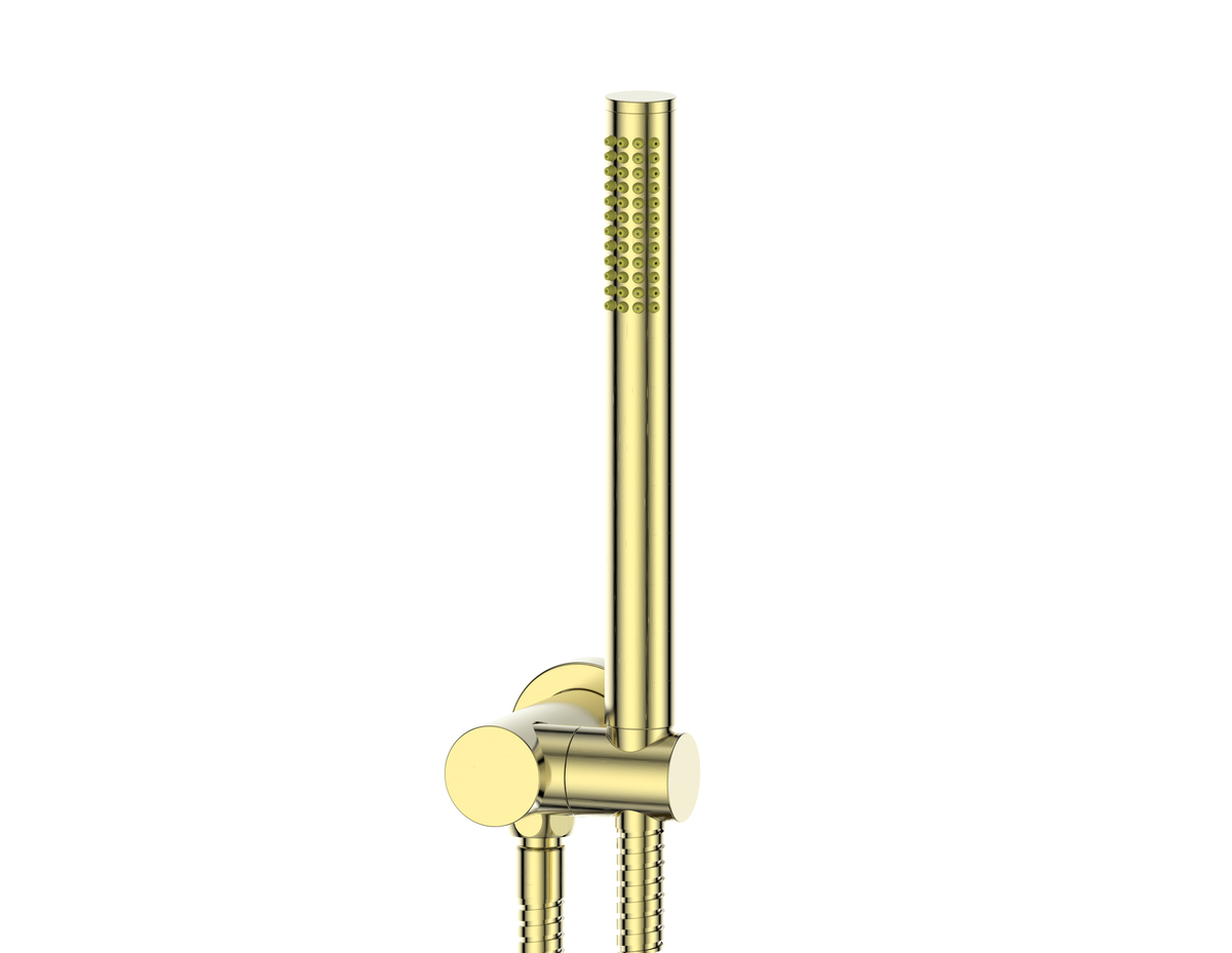Rocco Pin Hand Shower - PVD Brushed Brass