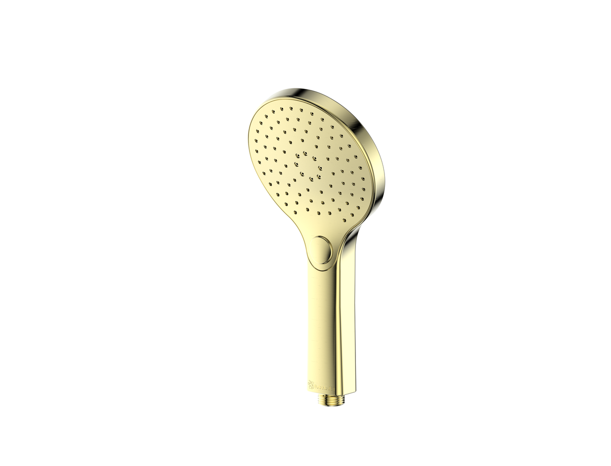 Ashmore Hand Shower - PVD Brushed Brass