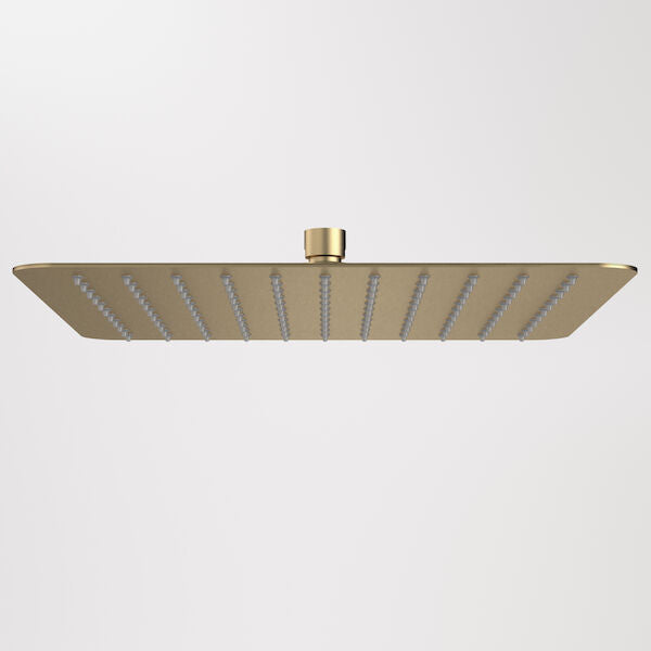 Caroma 300mm Square Rain Shower - Brushed Brass