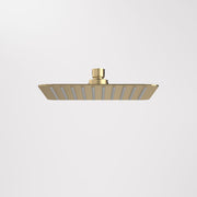 Caroma 200mm Square Rain Shower - Brushed Brass