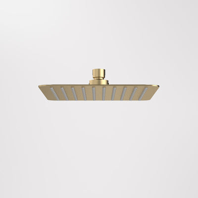 Caroma 200mm Square Rain Shower - Brushed Brass
