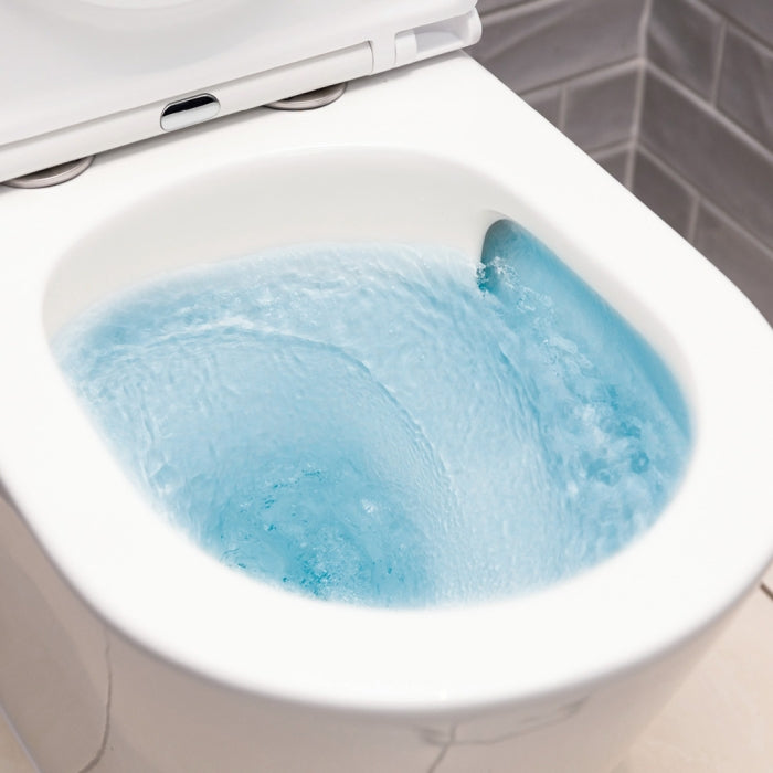 Fienza Koko Gloss White Wall Faced Toilet Pan Slim Seat