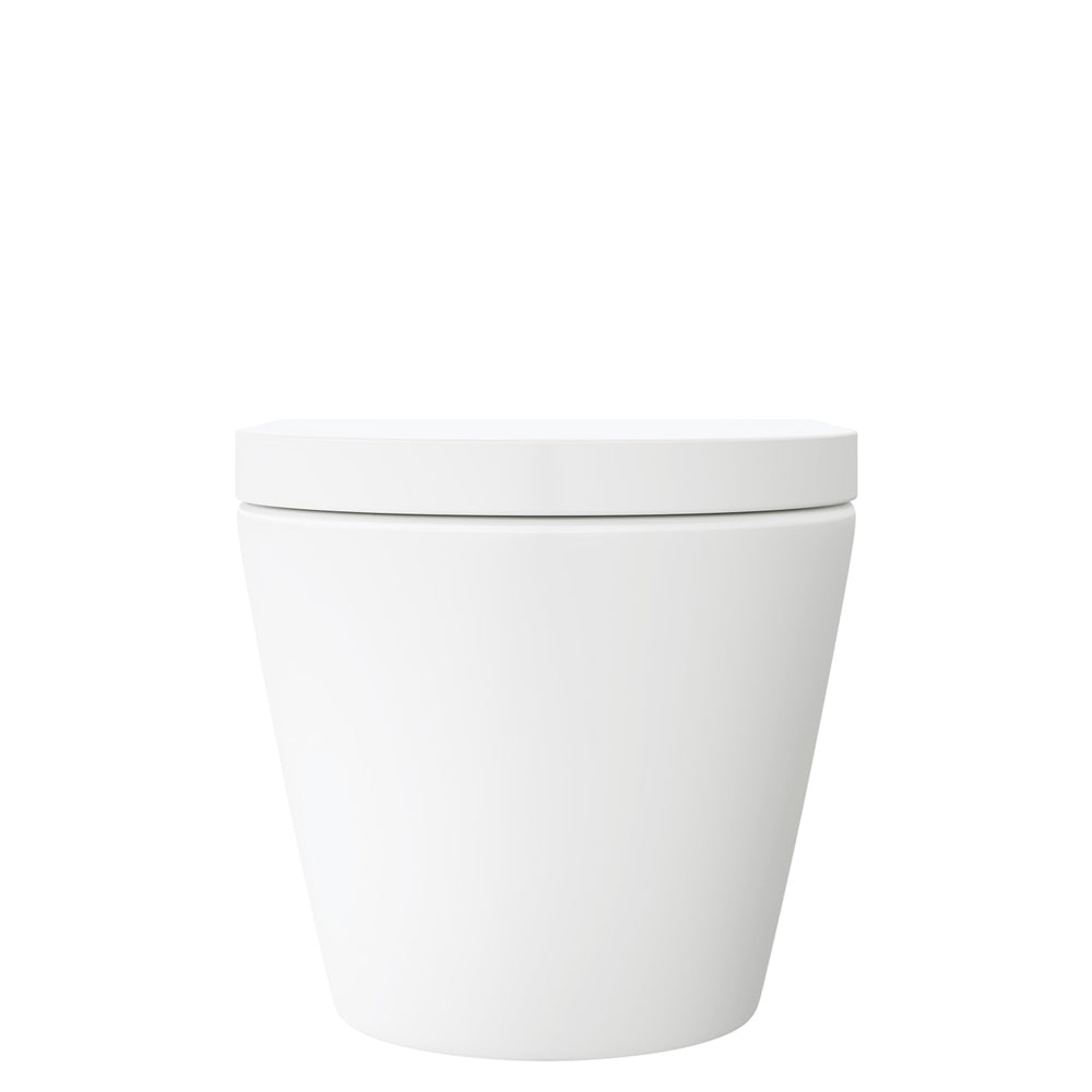 Fienza Koko Matte White Rimless Tonado Wall Hung Toilet Pan