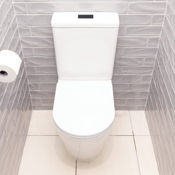 Fienza Aluca Back-to-Wall Toilet Suite, Slim Seat