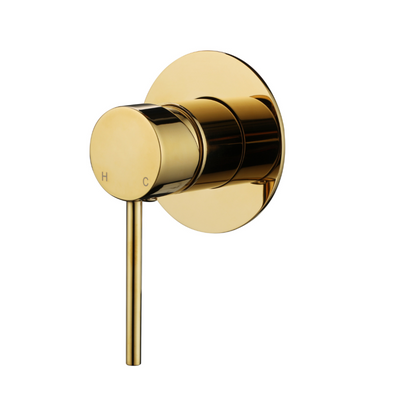 Modern National Star Mini Shower Mixer 80mm Polished Brass