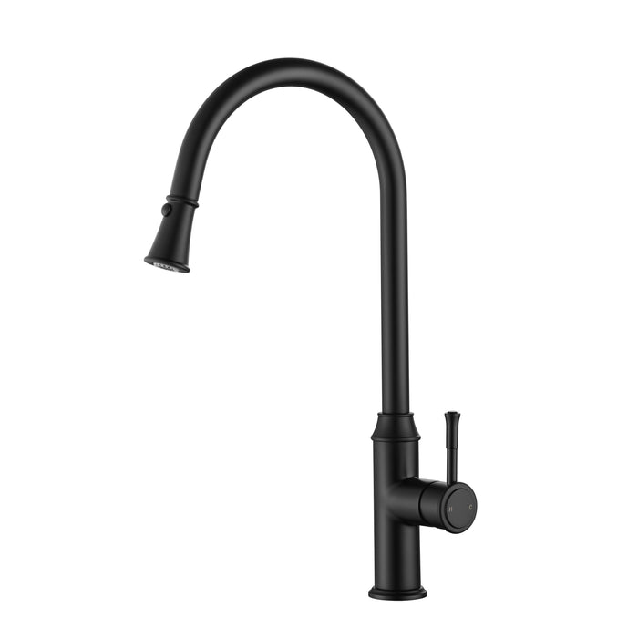 Modern National Montpellier Pull-Out Kitchen Mixer