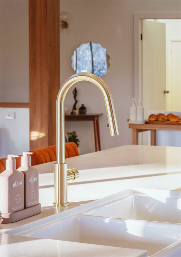 Nero Mecca Kitchen Mixer with Spray Brushed Gold