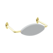 Nero Mecca Care DDA Accessible Toilet Backrest Brushed Gold