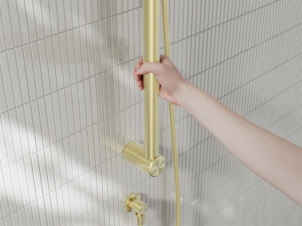 Nero Mecca Care 32mm Grab Rail And Adjustable Shower Rail Set 900mm Brushed Gold