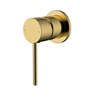 Modern National Star Mini Shower Mixer 60mm Polished Brass