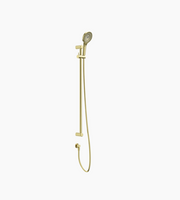 Nero Mecca Care 25mm Grab Rail And Adjustable Shower Rail Set 900mm Brushed Gold