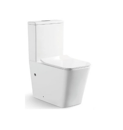 ACQUA-III Wall Faced Rimless Toilet Suite
