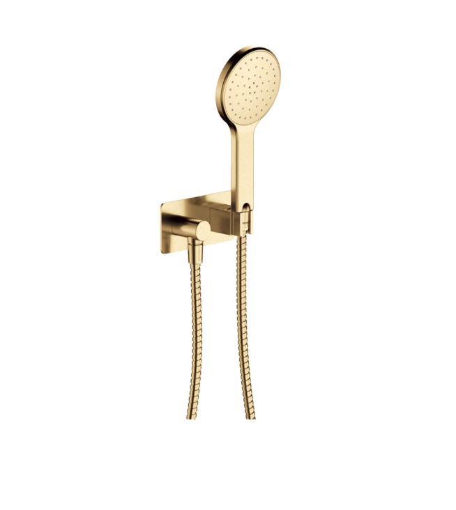 Fienza Kaya Hand Shower, Rectangular Plate, Urban Brass