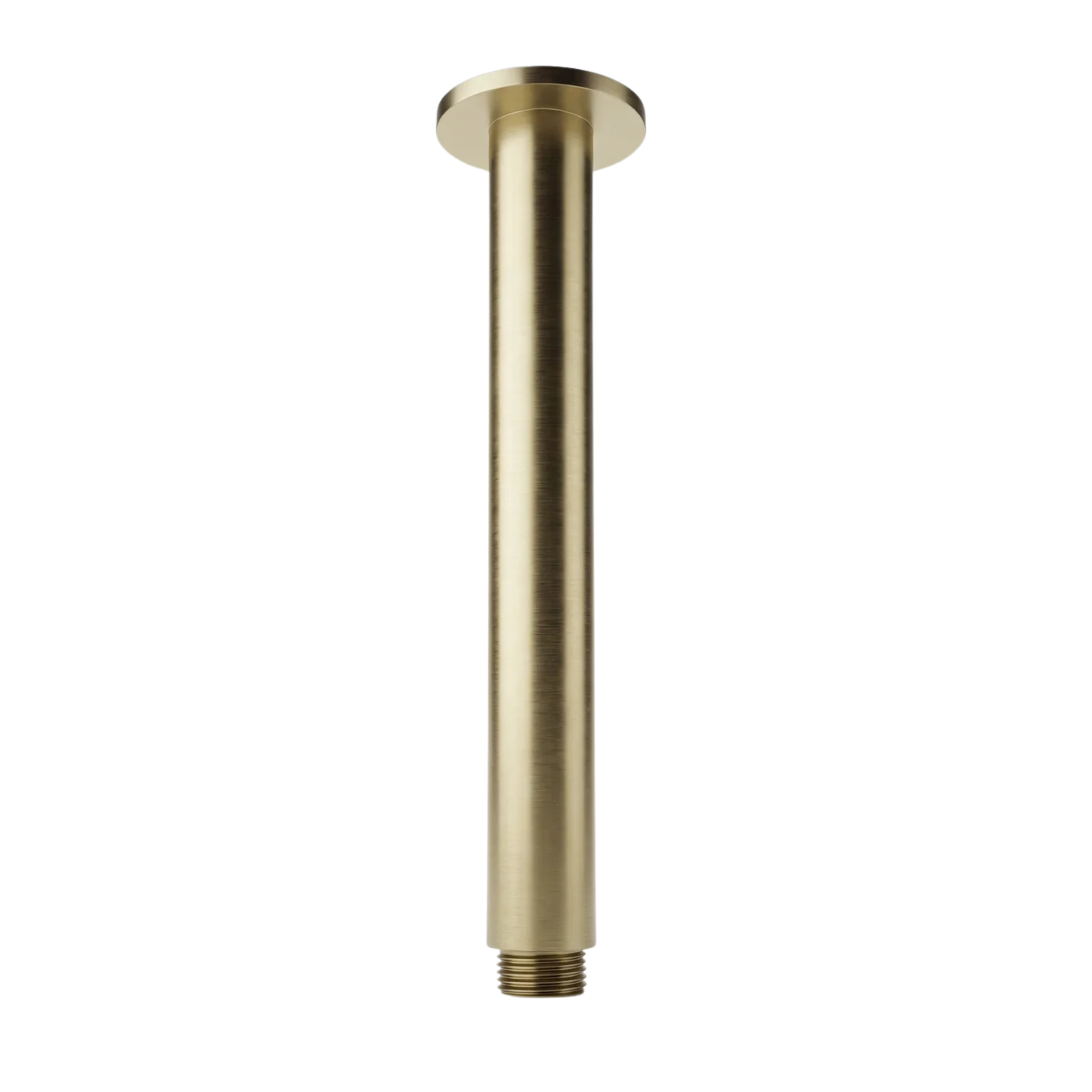 Mimi Ceiling Shower Arm 300mm Brushed Brass