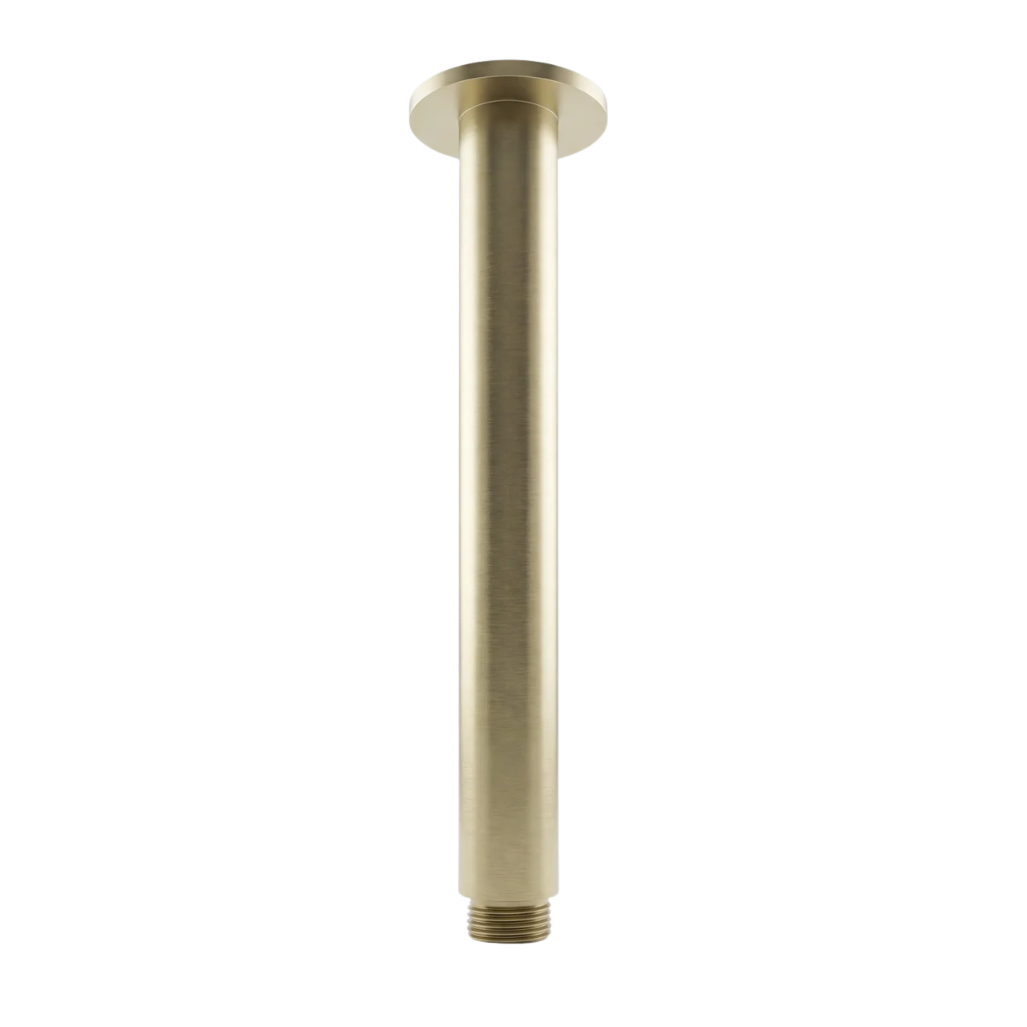 Mimi Ceiling Shower Arm 300mm Brushed Brass
