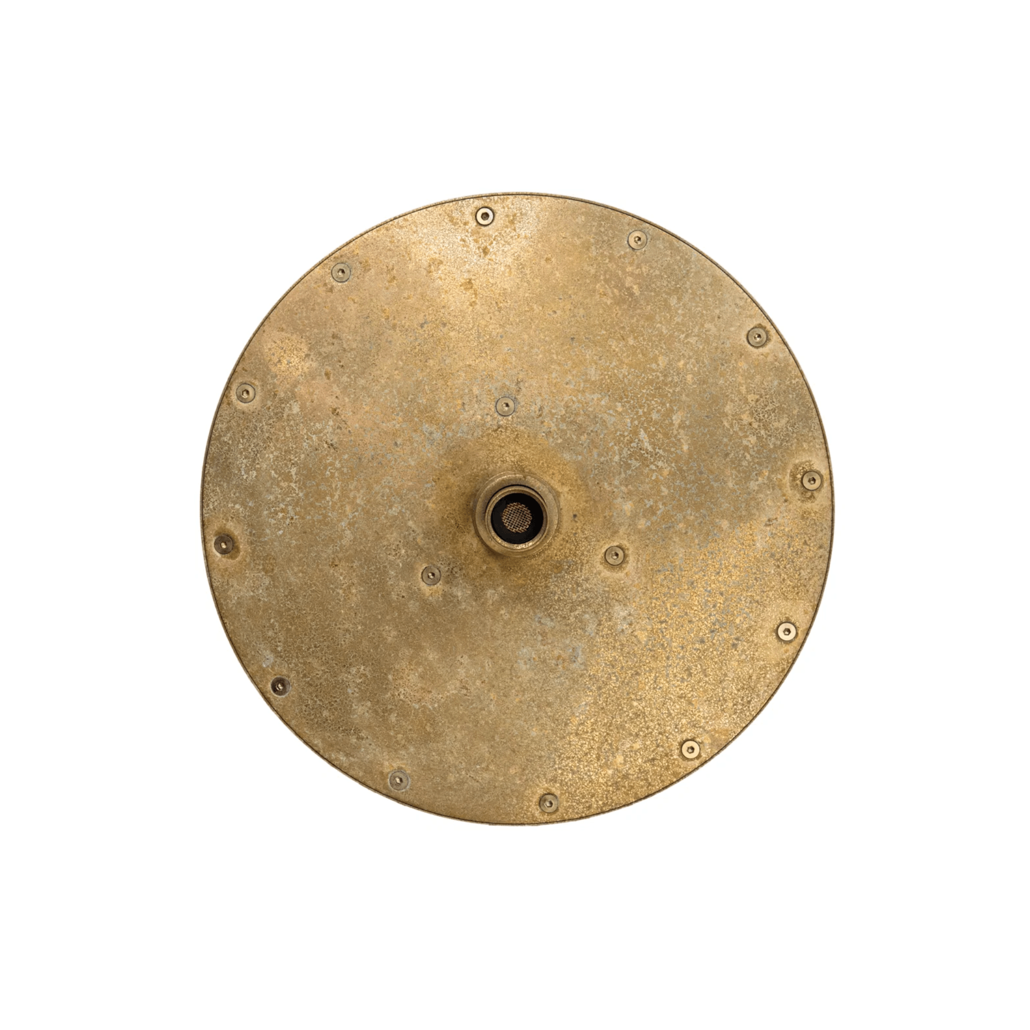 Bella Vista Mica 250mm Shower Head Living Brass