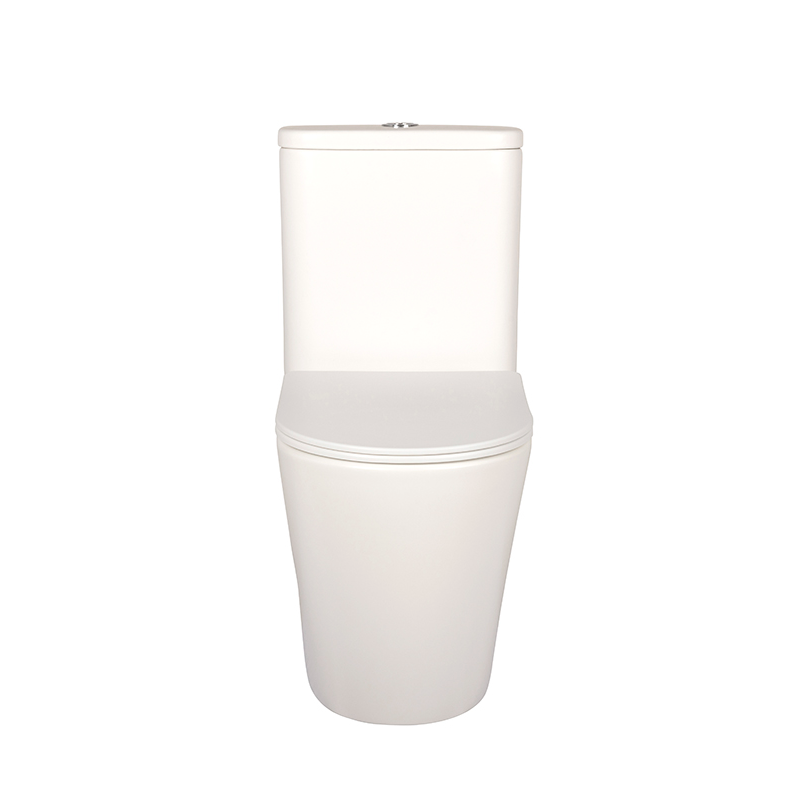 Vega Matte White Back to Wall Toilet Suite