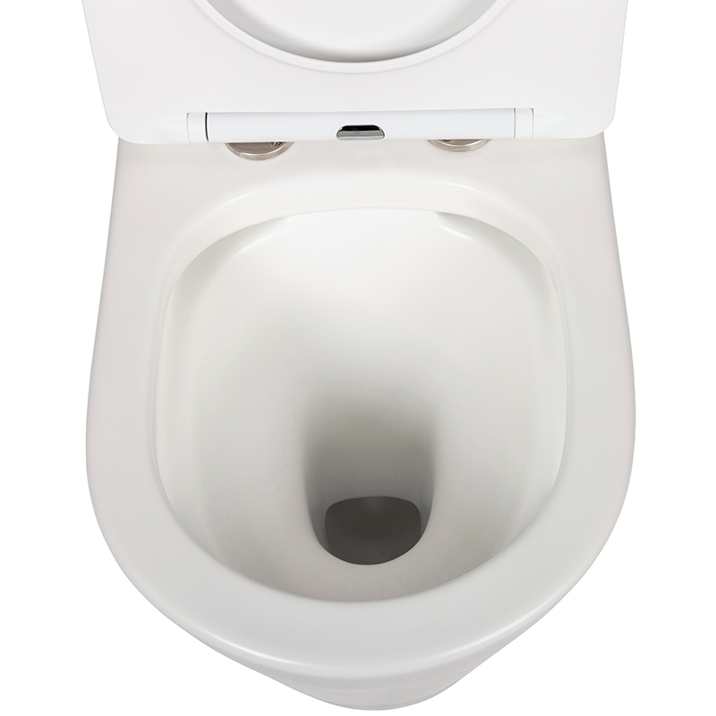 Vega Matte White Back to Wall Toilet Suite
