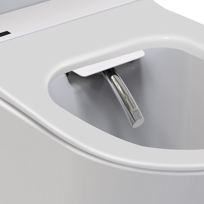 Neion Plus wall faced intelligent toilet pan with remote and Arcisan in-wall cistern